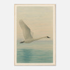 Wood frame 60x90 cm 24x36″ - Grace in Flight – Watercolour Swan Over Calm Waters - Play By Print