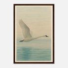 Dark wood frame 30x45 cm 12x18″ - Grace in Flight – Watercolour Swan Over Calm Waters - Play By Print
