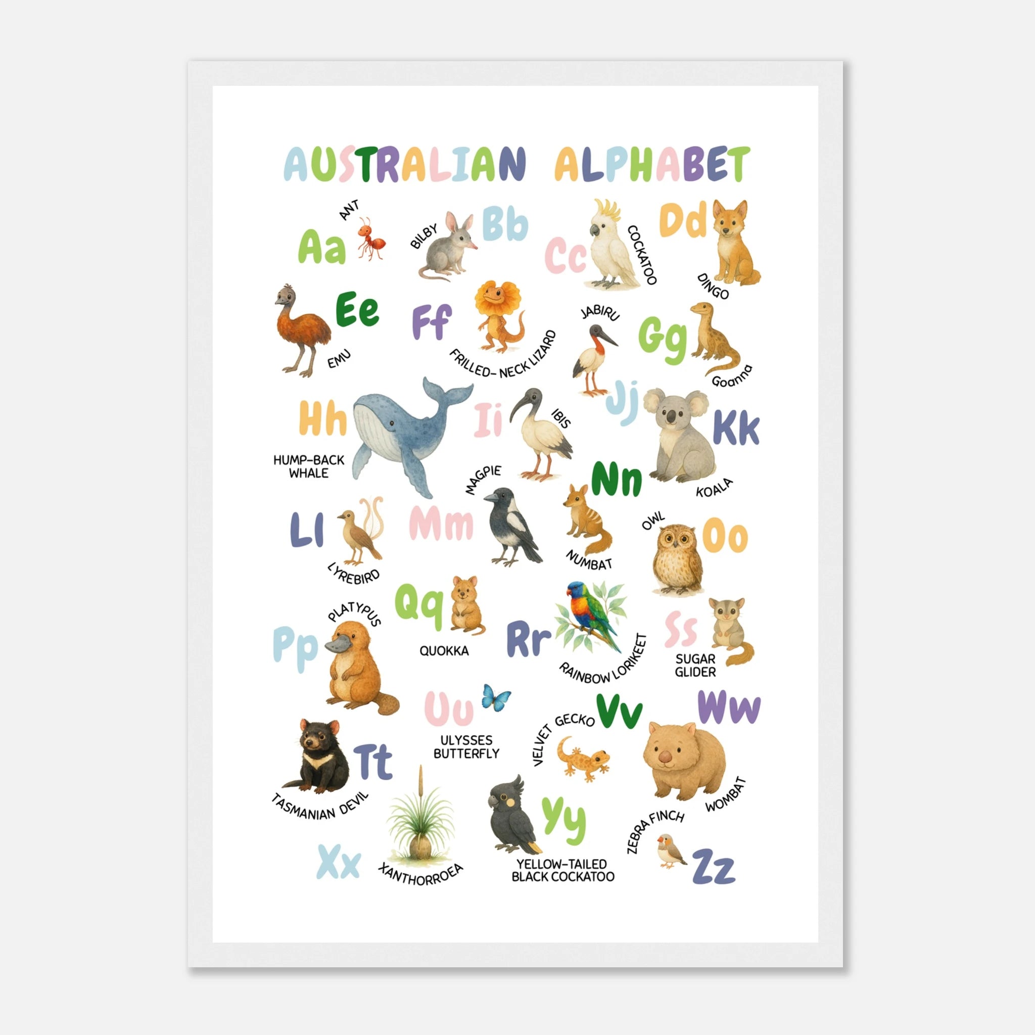 White frame - Australian Animal Alphabet Poster – Watercolour ABC Chart for Kids - Play By Print