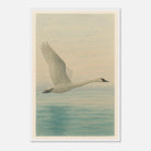 White frame 60x90 cm 24x36″ - Grace in Flight – Watercolour Swan Over Calm Waters - Play By Print