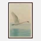Dark wood frame 40x60 cm 16x24″ - Grace in Flight – Watercolour Swan Over Calm Waters - Play By Print