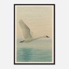 Black frame 40x60 cm 16x24″ - Grace in Flight – Watercolour Swan Over Calm Waters - Play By Print
